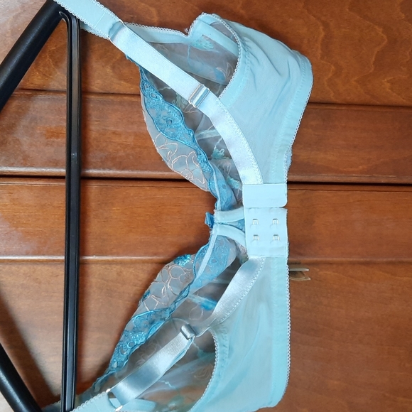 Pleasure state BRA - Picture 3 of 6